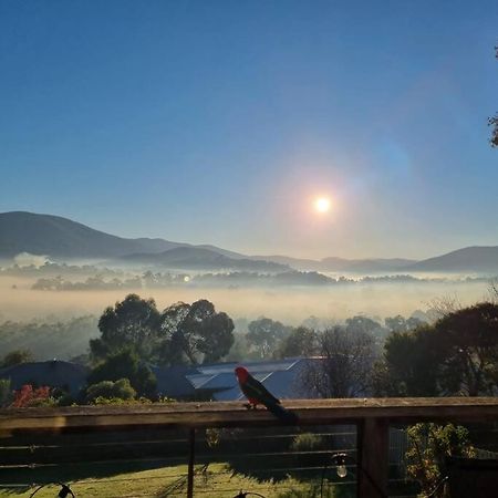 House On The Hill Villa Healesville Esterno foto